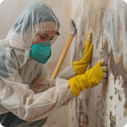 Mold remediation in Fort Lauderdale commercial property